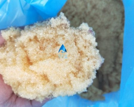 d301陰離子交換樹(shù)脂的預(yù)處理