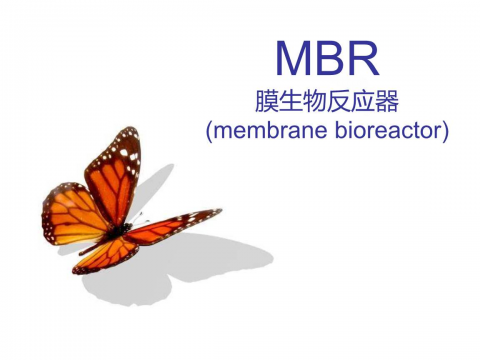 MBR膜進(jìn)口品牌有哪些？